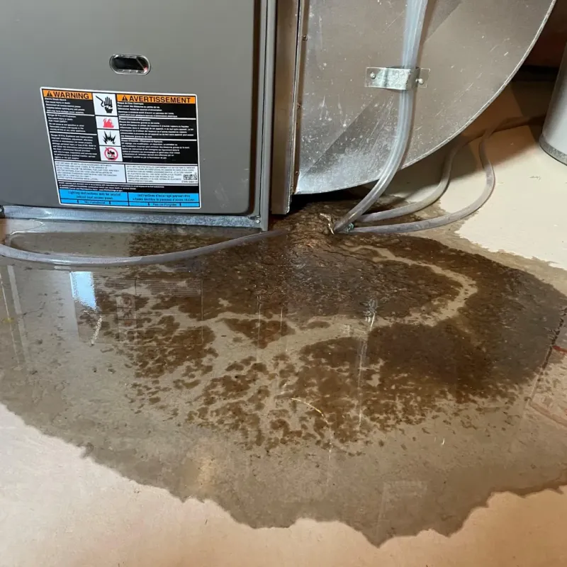 Appliance Leak Cleanup in Baltimore, OH